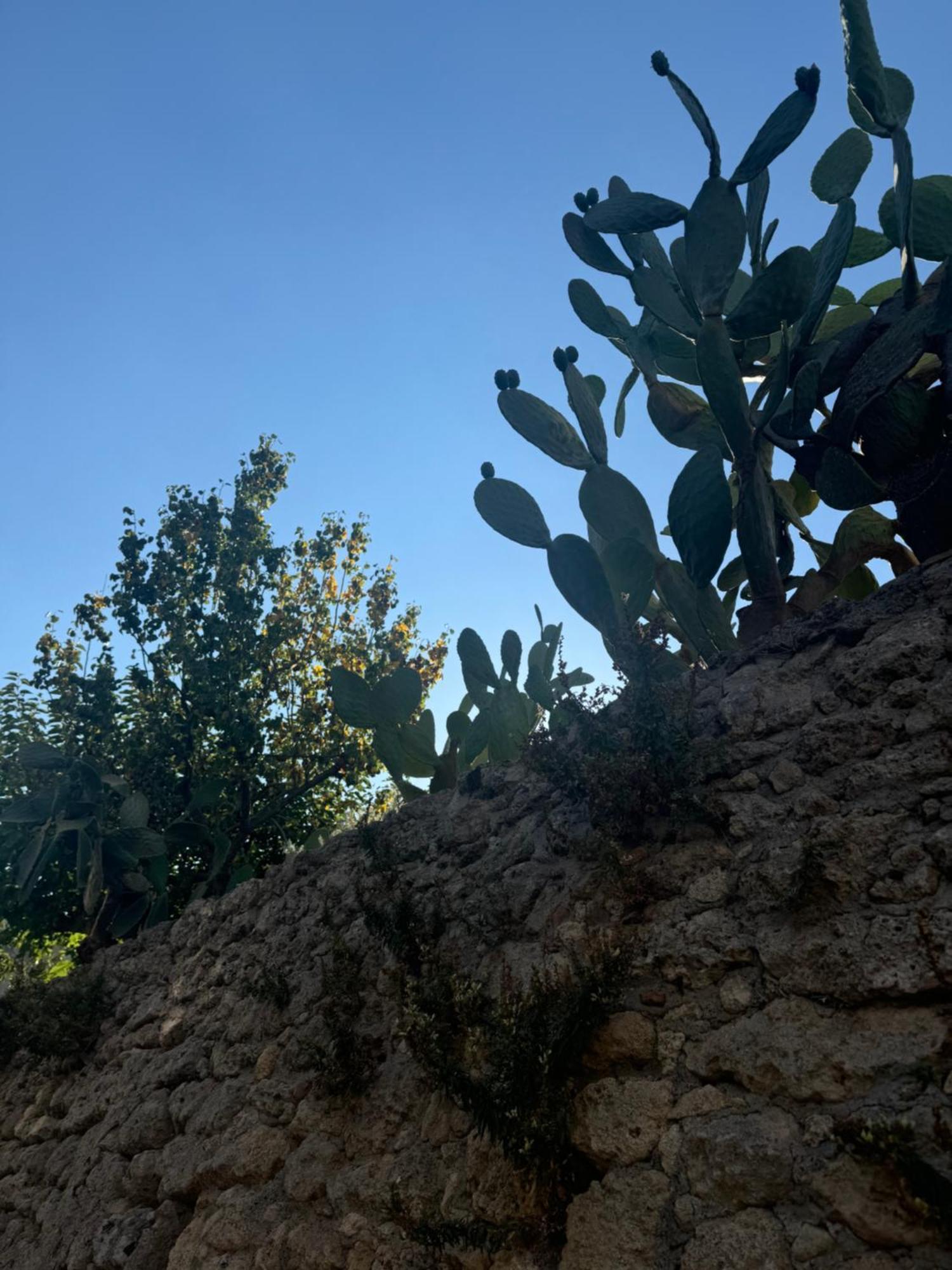 La Rosa Blu Bed and Breakfast Gerace Εξωτερικό φωτογραφία