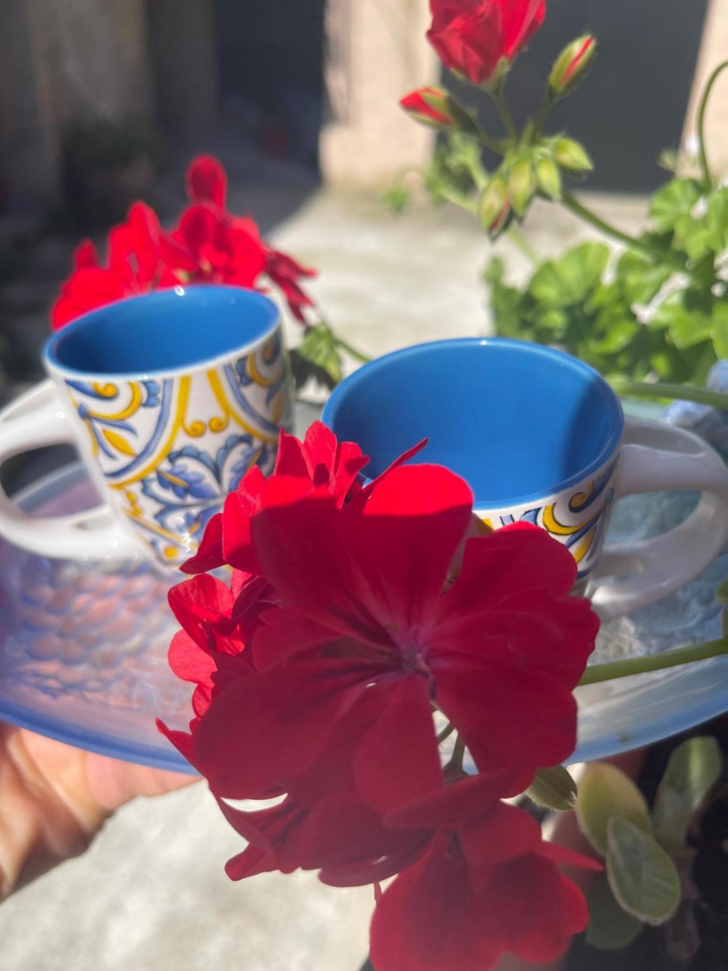 La Rosa Blu Bed and Breakfast Gerace Εξωτερικό φωτογραφία